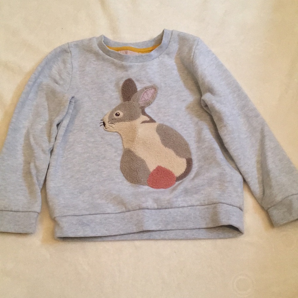 Girls mini Boden sweatshirt